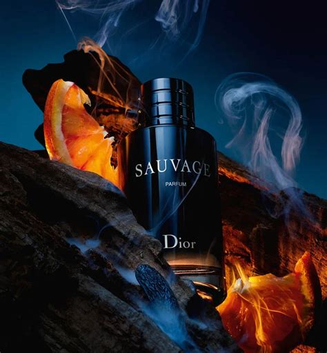 dior sauvage dossier|sauvage Dior symbolism.